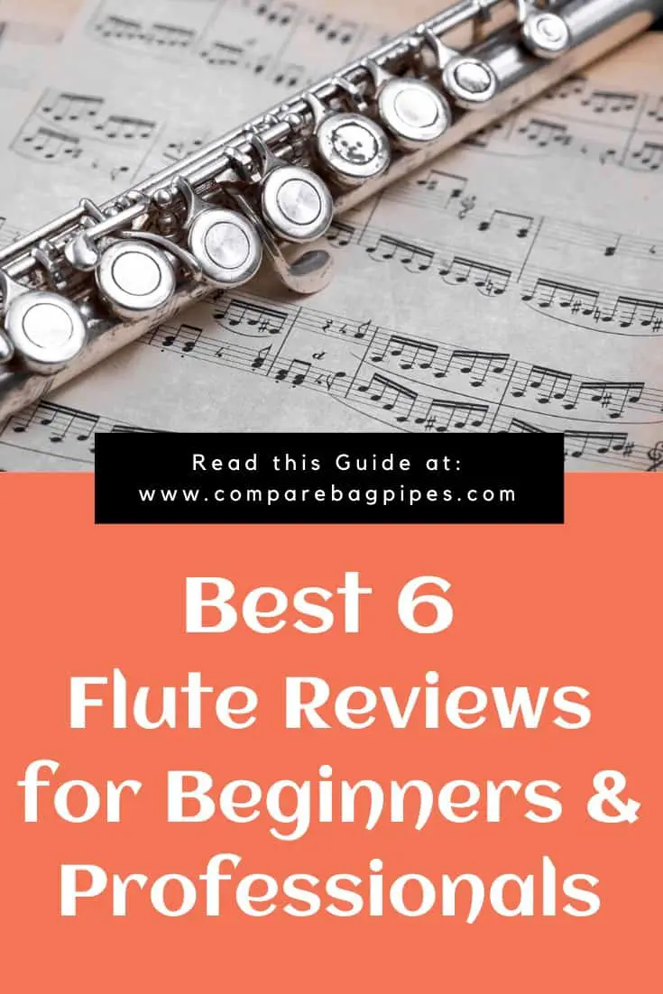 6 best flutes for beginners and professionals