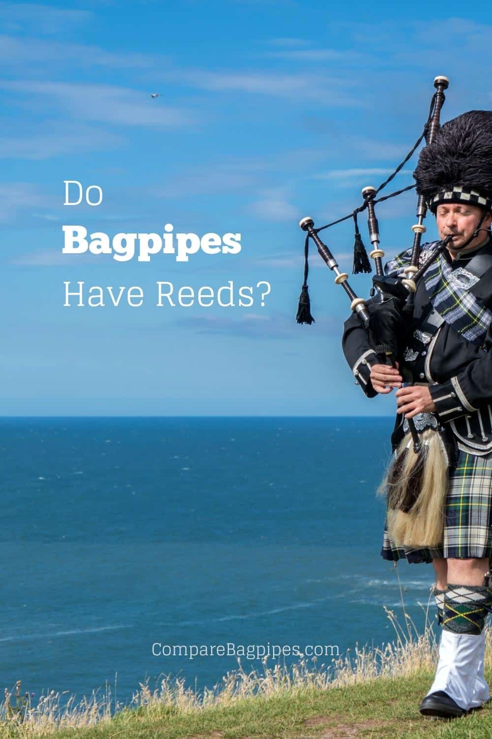 do-bagpipes-have-reeds-guide-compare-bagpipes